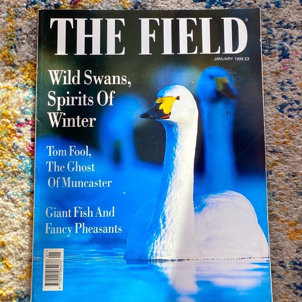 The FIELD WILD SWANS Spirits of Winter UK Vintage Magazine January 1999